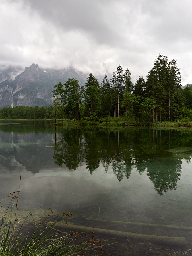 Almsee Grünau Spiegelung Wasser Nebel _©Michael Neruda