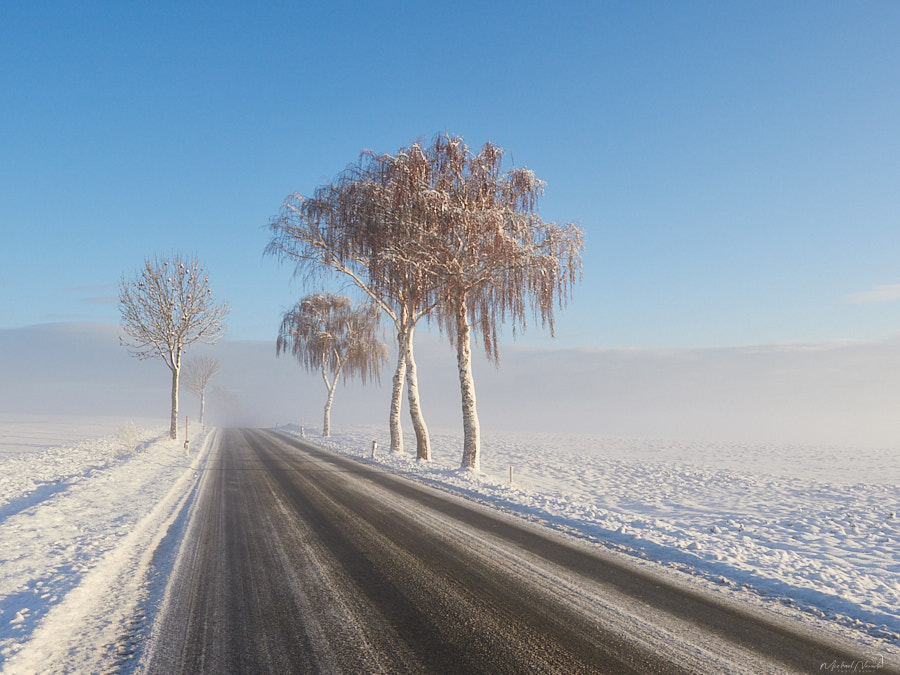 Winter Straße Nebel _©Michael Neruda