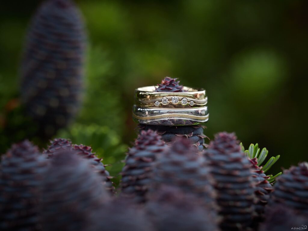 Hochzeit Eheringe Blumenschmuck Vorbereitung ©Michael Neruda